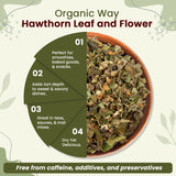 Hawthorn Leaf and Flower Cut & Sifted (Crataegus monogyna) - Herbal Tea | European Wild-Harvest | USDA & Kosher Certified | Non GMO & Gluten Free | Origin - Albania