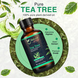 Natural Way Tea Tree Essential Oil | Essential Oil for Diffuser, Hair Growth, Skin, Scalp Care, Massage | Refreshing Hair Oil for Women & Men | 4 Fl Oz (120 mL)