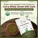 Tulsi/Holy Basil (Krishna) Cut & Sifted (Ocimum Tenuiflorum) - Herbal Tea | Kosher Certified | Raw, Vegan, Non GMO & Gluten Free | USDA Certified | Origin - India