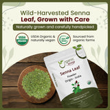 Premium Grade Senna Leaf Powder (Cassia Angustifolia) - Kosher Certified | Super Food, Raw, Vegan, Non GMO & Gluten Free | USDA Certified | Origin - India