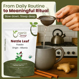 Nettle Leaf Powder (Urtica dioica) - Herbal Tea | Kosher Certified | Raw, Vegan, Non GMO & Gluten Free | USDA Certified | Origin - Albania