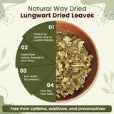 Natural Lungwort Dried Leaves Cut & Sifted (Pulmonaria Officinalis) | Kosher Certified | Raw, Vegan, Non GMO & Gluten Free | Origin - Albania