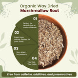 Marshmallow Root Cut & Sifted - Herbal Tea - European Wild-Harvest | Kosher Certified | Non GMO & USDA Certified | Origin - Albania