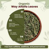 Organic Way Alfalfa Leaves Cut & Sifted - Herbal Tea - Origin Egypt