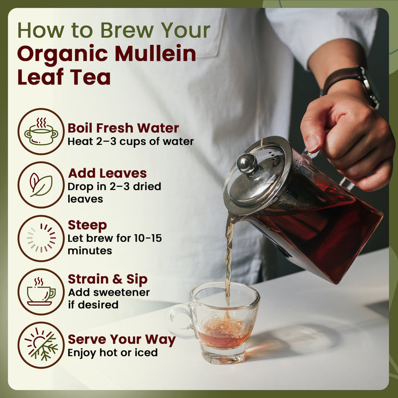 Neem Leaf Cut and sifted | Herbal Tea | Premium Neem Leaf | USDA Certified | Non GMO & Gluten Free | Origin - India