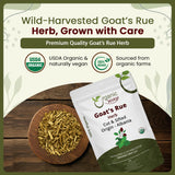 Goat’s Rue Herb Cut & Sifted - Herbal Tea | European Wild-Harvest | Kosher & USDA Certified | Vegan, Non-GMO & Gluten Free | 100% Raw from Albania