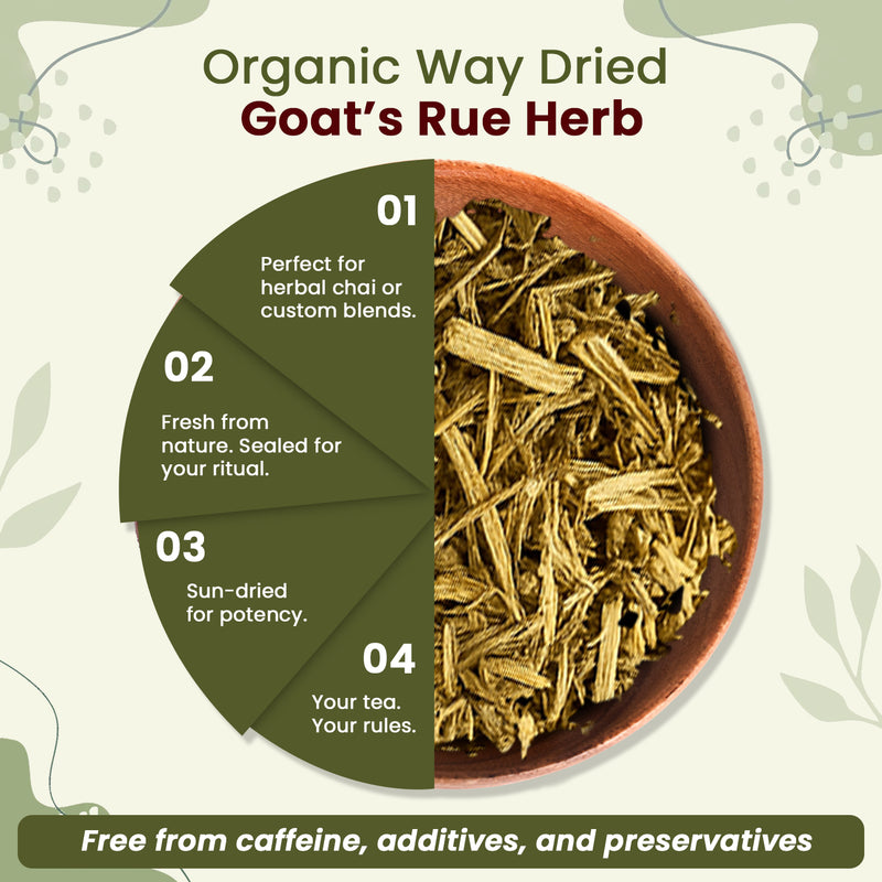 Goat’s Rue Herb Cut & Sifted - Herbal Tea | European Wild-Harvest | Kosher & USDA Certified | Vegan, Non-GMO & Gluten Free | 100% Raw from Albania