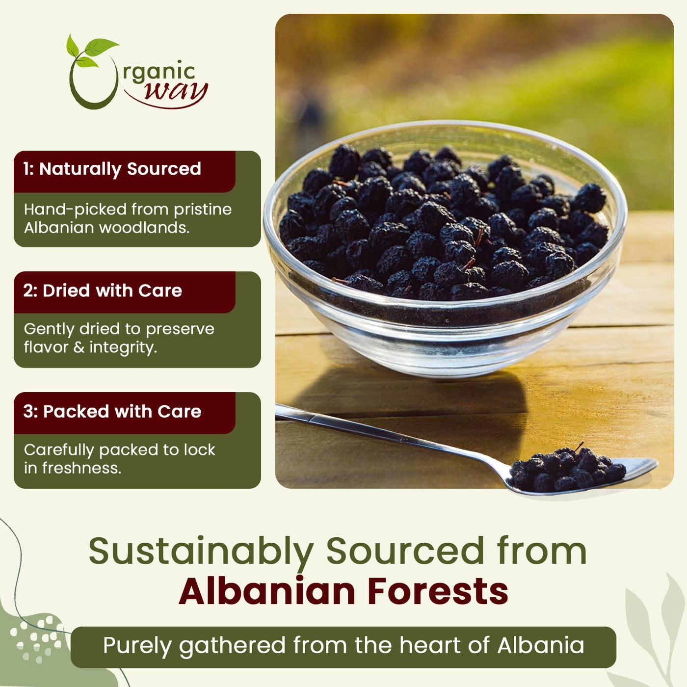 Chokeberries Fruit/Aronia Berry Whole (Aronia melanocarpa