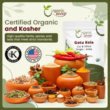 Dried Gotu Kola Cut & Sifted (Centella asiatica) -  Kosher Certified | Raw, Vegan, Non GMO & Gluten Free | USDA Certified | Origin - India