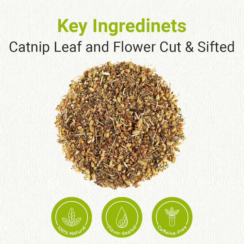 Natural Catnip Leaf & Flower Cut & Sifted