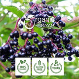 Dried Elderberry Whole - Herbal Tea | European Wild-Harvest | Kosher & USDA Certified | Non-GMO & Gluten Free | Tested for Purity | 100% Raw from Albania