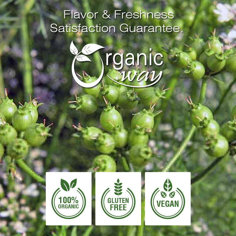 indian coriander seeds for planting Organic Coriander Seeds Whole 8 oz