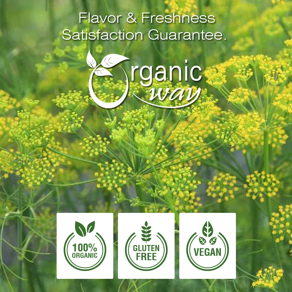 where to buy fennel seeds to plant Organic Way Fennel Seeds Whole (Foeniculum Vulgare) - Improve Digestion | Organic & Kosher Certified | Raw, Vegan, Non GMO & Gluten Free